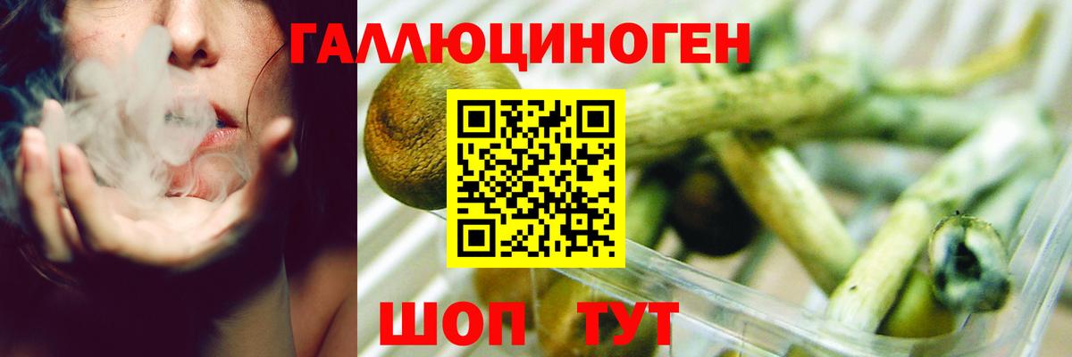 Галлюциногенные грибы Cubensis  Вход с VPN  Лобня 